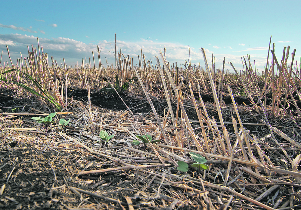 The Senate’s agriculture committee is told that Indigenous Services Canada’s funding formula can encourage First Nations to break marginal land for crop production because the band will receive more funding if they are able to issue more permits.   |  File photo