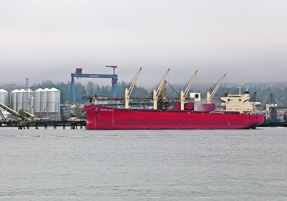 Canadian canola exports had hit 4.295 million tonnes at the crop year’s half-way point.  |  File photo