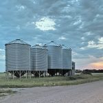 Statistics Canada’s latest report on the amount of grain available in Canada did not surprise the trade and was not considered a market mover. | File photo