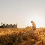 “Sometimes we all need to take a step back and recognize that we’re working in a cropping system. Not within individual crop types,” said Katherine Stanley, research program manager for special crops with the MCA. | Getty Images