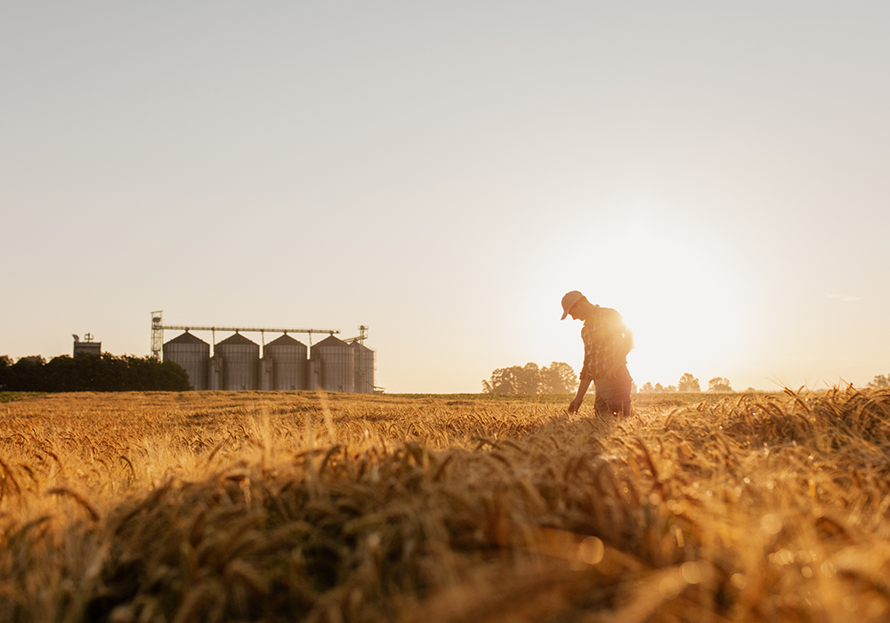 “Sometimes we all need to take a step back and recognize that we’re working in a cropping system. Not within individual crop types,” said Katherine Stanley, research program manager for special crops with the MCA. | Getty Images