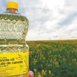 The total value of Saskatchewan agri-food exports was $18.4 billion in 2022, with canola oil, non-durum wheat, canola seed, lentils, durum and dry peas leading the way. | File photo