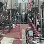 A project in Edmonton collects unwanted fruit, which is then turned into hard cider at a brewery in Lacombe, Alta. | Kirk Zembal photo