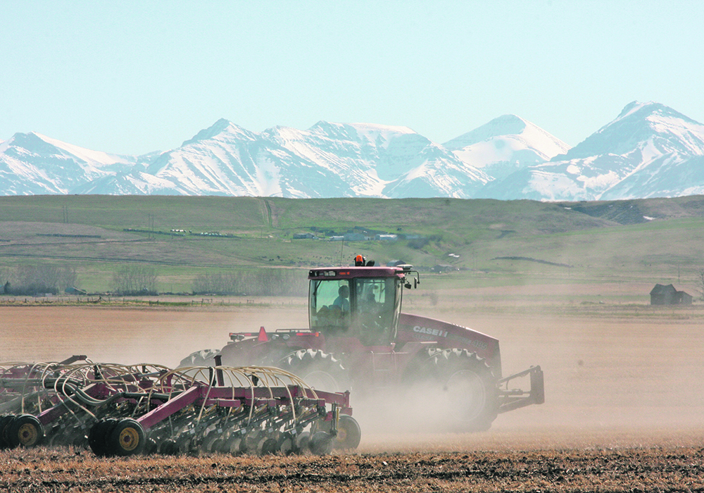 Agriculture Canada officials who were asked at a recent Senate hearing why early adopters of no-till agriculture don’t benefit from recent government incentive programs told senators that these early adopters have already benefited through increased production.  |  File photo