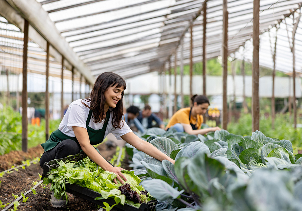 Employers Can Create Happy Healthy Work Environments The Western 