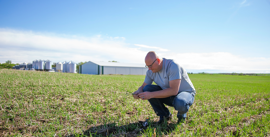 Producer Shawn Jacula from Vermilion, Alberta, uses FarmCash to capture discounts on farm inputs. | FARMCASH PHOTO