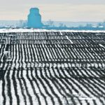 Soil temperature is a critical factor in whether corn earworms are able to survive the winter, which makes it a good way to predict insect pressure in the following year. | Mike Sturk photo