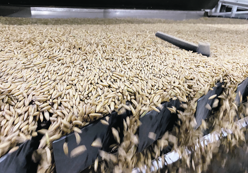 Oat acreage and quality will suffer if the crop looks less attractive than other options such as canola and wheat because of a flawed pricing system.  |  File photo