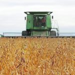 Recent trade missions to Japan, Malaysia and Vietnam helped Canadian soybean exporters and producers better understand Asian customers’ quality specifications. | File photo