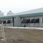 According to a Manitoba Pork Council producer survey, most producers need to do either a “major retrofit” or a “rebuild” of their facilities in the next 10 years. | File photo