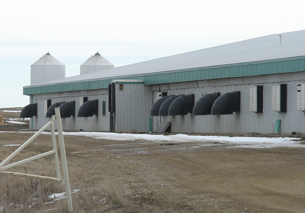 According to a Manitoba Pork Council producer survey, most producers need to do either a “major retrofit” or a “rebuild” of their facilities in the next 10 years. | File photo