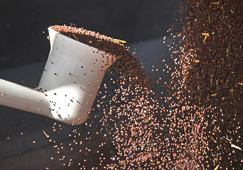 Higher commodity prices and yield coverage pushed the average coverage from $405 last year, and, with higher insured prices, moved the average total premium up to $14.79 per acre, compared to $12.05 in 2022. | File photo