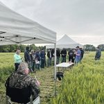 On-farm research programs such as Plot2Farm, which is managed by the Alberta Wheat Commission, invite farmers to conduct relevant research on their farms in their own environment. | Photo courtesy of Alberta Wheat Commission/Plot2Farm