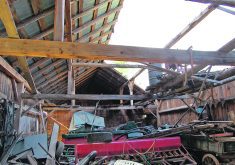 The damage from last May’s wind storm in eastern Ontario could still be seen in September.  |  Candice Vetter photo