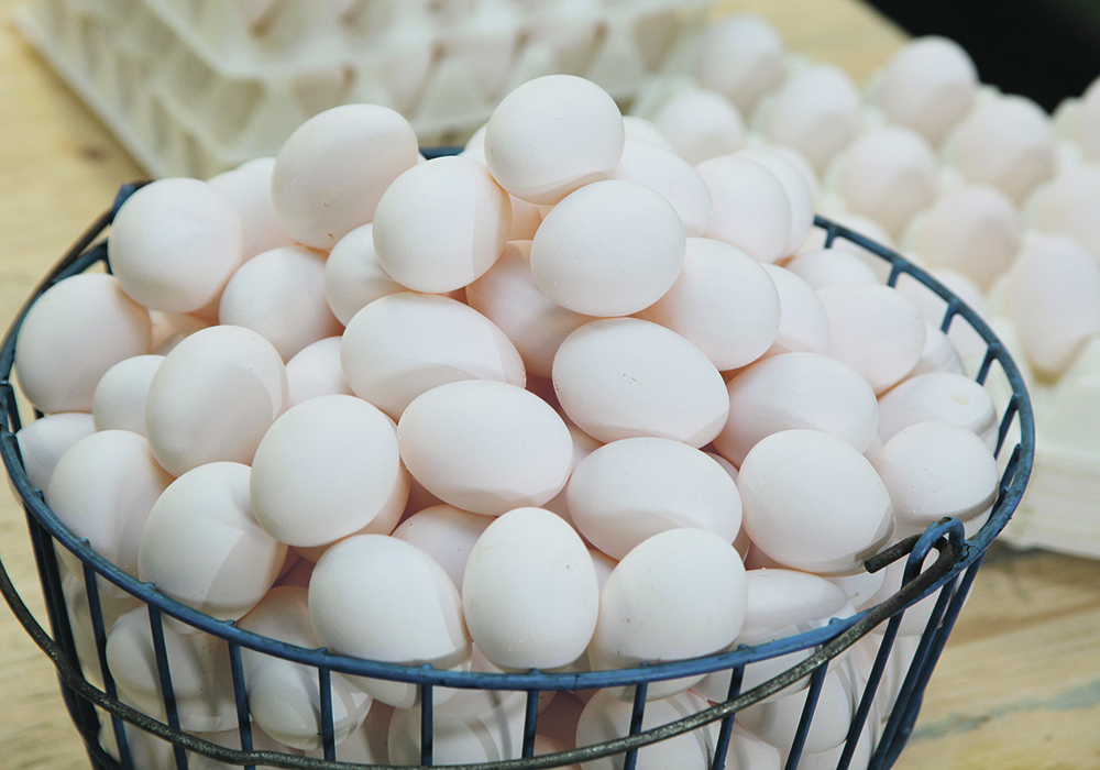 The Canadian Cattle Association says any effort to prohibit the federal government from making egg, poultry and dairy concessions in future trade agreements is a threat to the country’s economy.  |  File photo