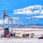 Analysts think crude oil demand will continue to rise but that global investment in new oil production is failing to keep up. | Mike Sturk photo