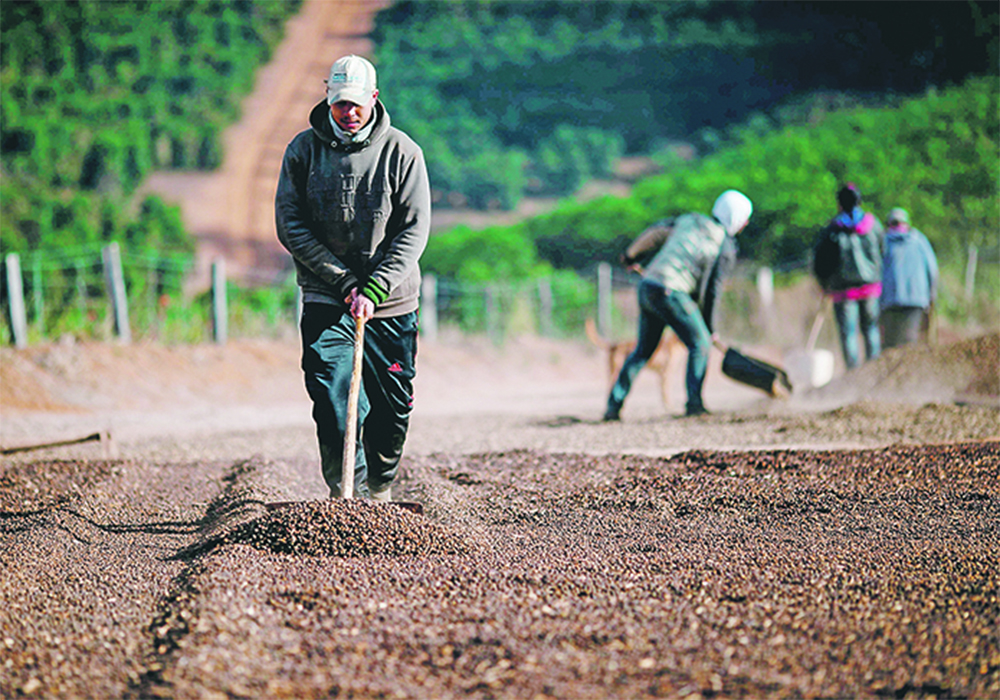Any way you look at it, coffee is not the world’s second-most traded commodity. | Reuters photo