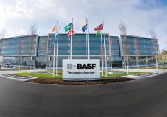 BASF instead plans to focus on developing the new type of wheat in European markets, aiming to launch the technology there &ldquo;toward the end of the decade,&rdquo; the company said. | Screencap via basf.com