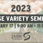 The Jan. 17 webinar updated members on new varieties and initiatives in the pulse crop industry, including new information on root rot developments. | Screencap via YouTube/Saskatchewan Pulse Growers
