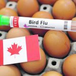 Animal health officials say recent funding announced in Alberta’s provincial budget to pay for modifications to infrastructure to accommodate new equipment at the University of Calgary’s Diagnostic Services Unit is an important way to provide early warning for livestock illnesses such avian influenza. | Reuters/ Dado Ruvic photo