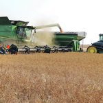 The senior vice-president of the Royal Bank says Canada should commit to producing 25 percent more food in this decade with fewer emissions. | File photo