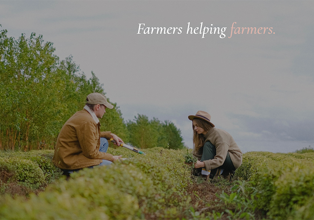 On March 15, the Manitoba Farmer Wellness Program announced that its first year was a success and they have the financial resources to maintain the service. | Screencap via manitobafarmerwellness.ca