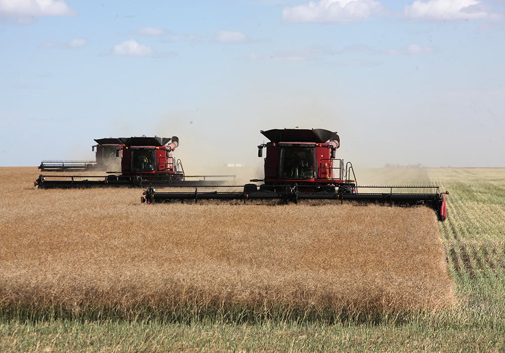 The EU bought 5.8 million tonnes of the oilseed through the first 37 weeks of the crop year, according to Strategie Grains. That is up 57 percent over the same period a year ago. Ukraine is the leading supplier. Canada is a distant third behind Australia. | File photo