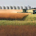 The sector’s goal of limiting industrial use to less than 10 percent looks increasingly unlikely as renewable diesel booms. | File photo