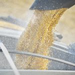 China will likely need a significant amount of corn again in the coming year, but Ukraine and Argentina are both suffering. | File photo