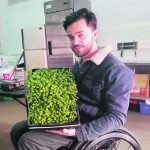 Riccardo Baldini holds a tray of basil grown in his Strathcona Microgreens business in Edmonton. | Adeline Panamaroff photo