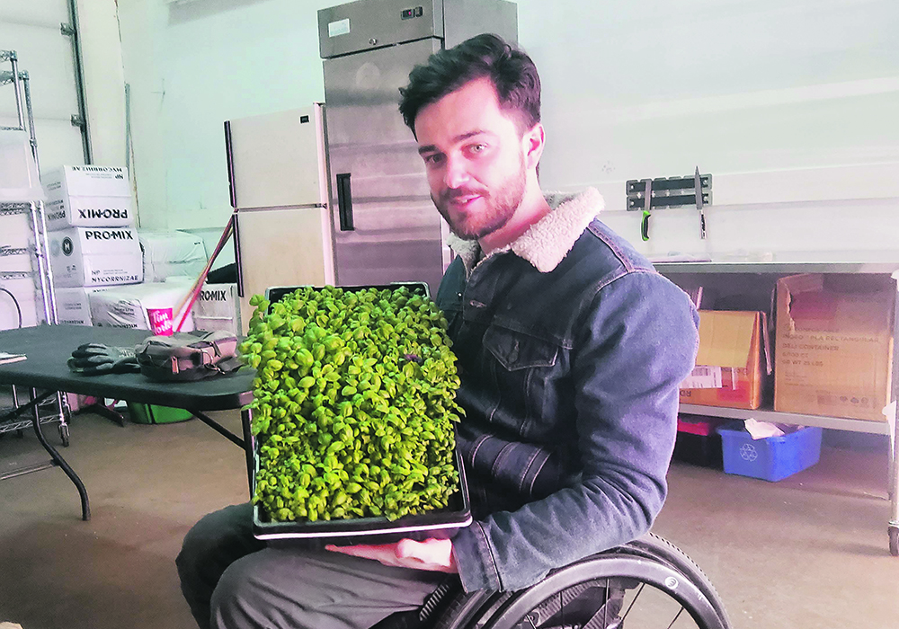 Riccardo Baldini holds a tray of basil grown in his Strathcona Microgreens business in Edmonton.  |  Adeline Panamaroff photo