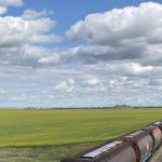 Canola prices have been under pressure from global soy and Australian crop reports, but markets strengthened late this week. | Mike Raine photo