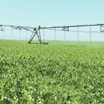 The latest Water Supply Outlook for Alberta report expects the Bow River basin to run much below to below average for runoff this year, while the Milk and Oldman river basins are expected to be in the below average to average range. | File photo