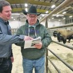 Bison Producers of Alberta chair Steven Lunty talks with Randy Nichol of Beaverlodge, Alta., about the bison available during the Wildrose Bison show and sale. | Mary MacArthur photo