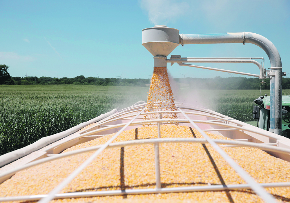 The current range of prices for crops such as corn is more reflective of supply-demand fundamentals than last year’s panic buying sparked by fears over the war in Ukraine and the spectre of inflation.  |  Reuters/Daniel Acker photo