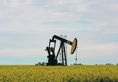 In 2022, 30,000 surface lease payments went unpaid in Alberta, according to Surface Lease Rental Recovery Partners, which assists with recouping such payments. | File photo