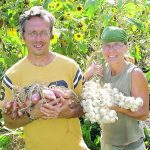 Wally Satzewich and Gail Vandersteen harvest onions and garlic in a backyard market garden plot. | SPIN Farming photo