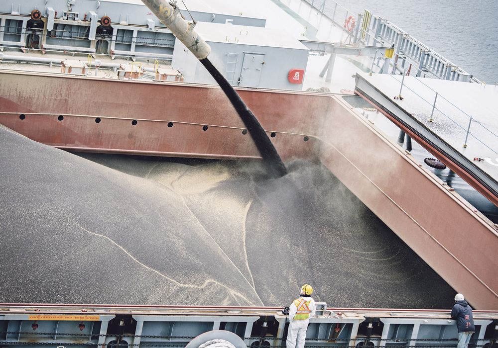 Canada does not sell much corn to Mexico but there are broader issues at stake. Mexico was the second biggest buyer of Canadian canola in the August 2022 through January 2023 period, purchasing 676,076 tonnes of the commodity, next only to China’s 1.99 million tonnes. | File photo