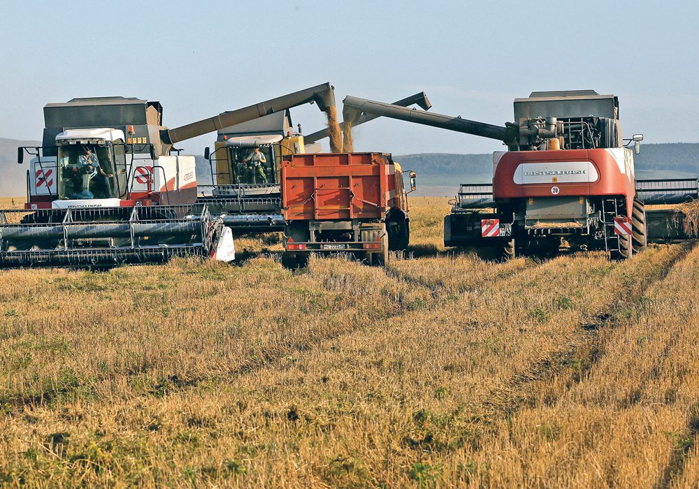 SovEcon is forecasting 85.3 million tonnes of production, down from the 104.2 million tonnes harvested last year. However, carryout stocks from the 2022-23 crop are expected to be massive, so total supply will be very similar year-on-year. | Reuters photo