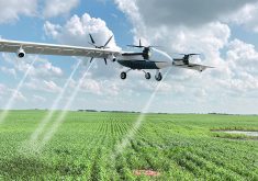The fixed-wing spray drone by Precision AI uses artificial intelligence and an advanced camera and application system to target individual weeds within crop canopies. The drone has a seven-metre wingspan and was designed to apply herbicides while travelling 70 km-h at a height of eight to 10 feet.  |  Precision AI photo
