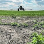 Corteva’s new in-crop herbicide for wheat and barley, OnDeck, can be applied as early as the one-leaf stage. Most of Corteva’s cereal herbicides are applied from three-leaf to flag-leaf. | Corteva photo