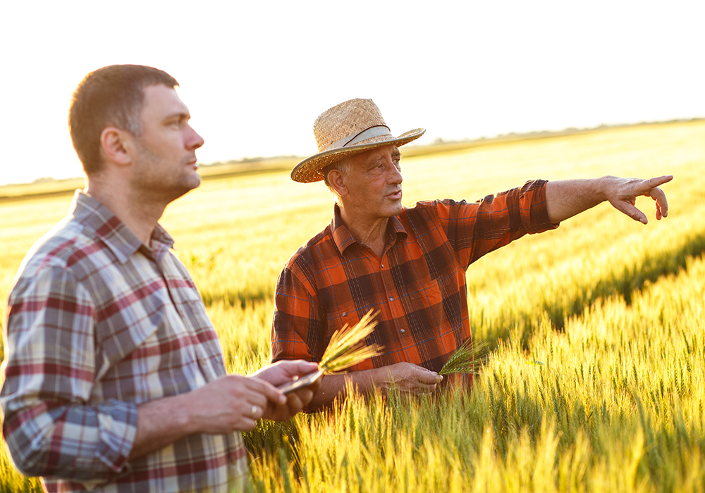 It is important to recognize that "estate planning" is about more than just making your will. | Getty Images