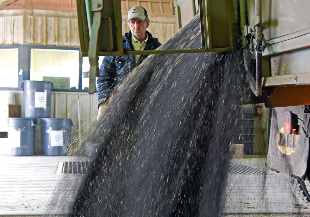 MarketsFarm analyst Mike Jubinville thinks the new floor for canola is around $700 per tonne, which it hit towards the end of March before rebounding. He thinks that number could be in the cards again because of a few bearish factors. | File photo