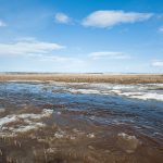 Overall, conditions are conducive to good levels of soil moisture infiltration, thanks to a better-than-average snowpack across most of the province and a soil-snowpack interface that is favourable to soil moisture recharge. | Getty Images