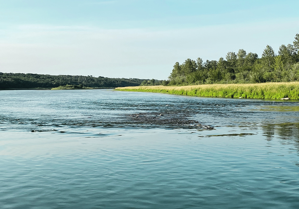 The Canadian Water Network says Canada is second in the world behind the United States in the amount of water used. The trend will continue without a cost driver to encourage water reuse.  |  Brian Cross photo