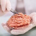 Close-up of a petri dish with what appears to be meat of some kind in it and a scientist wearing rubber gloves using tweezers to grab some of the meat.