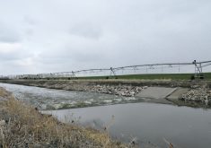 Water flows through one of the St. Mary’s River Irrigation District’s canals. Multiple sections of pivot irrigation sit alongside the canal.