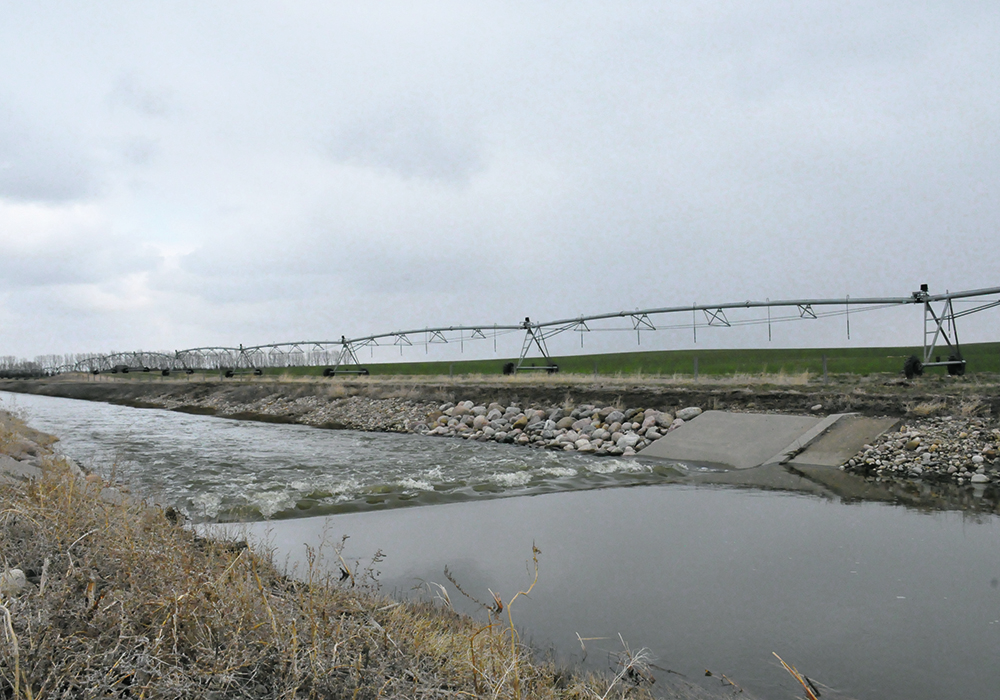 Water flows through one of the St. Mary’s River Irrigation District’s canals. Multiple sections of pivot irrigation sit alongside the canal.