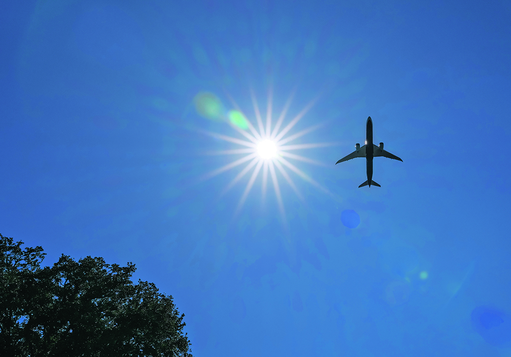 A large passenger plane flies overhead, the sun is beside it, and a tree sticks up into the bottom corner of the image.
