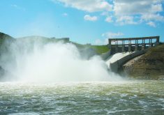 Water sills violently over a dam on the Oldman River in Alberta, putting spray into the air.